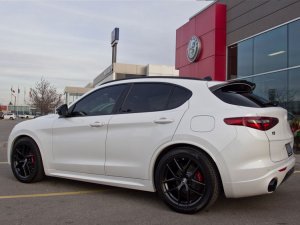 Alfa Romeo Stelvio Lowering Springs - 2.0L - MADNESS - Sport Plus